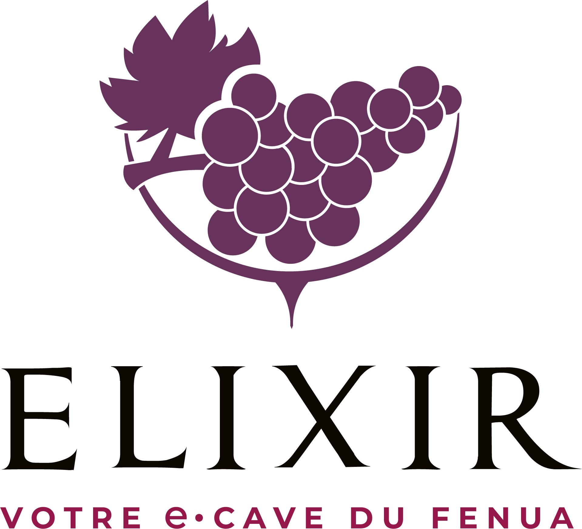 Logo Elixir Tahiti